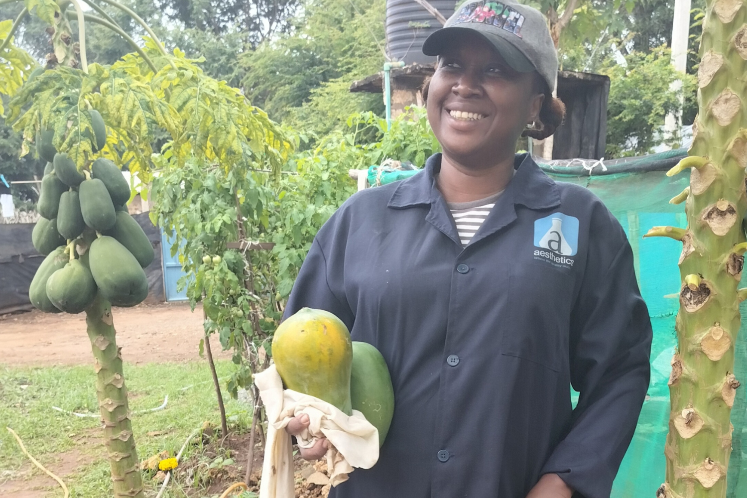 Training and field support