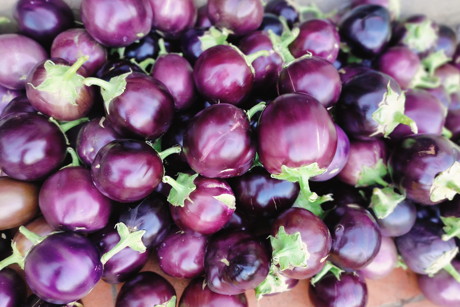 Brinjals (eggplants)