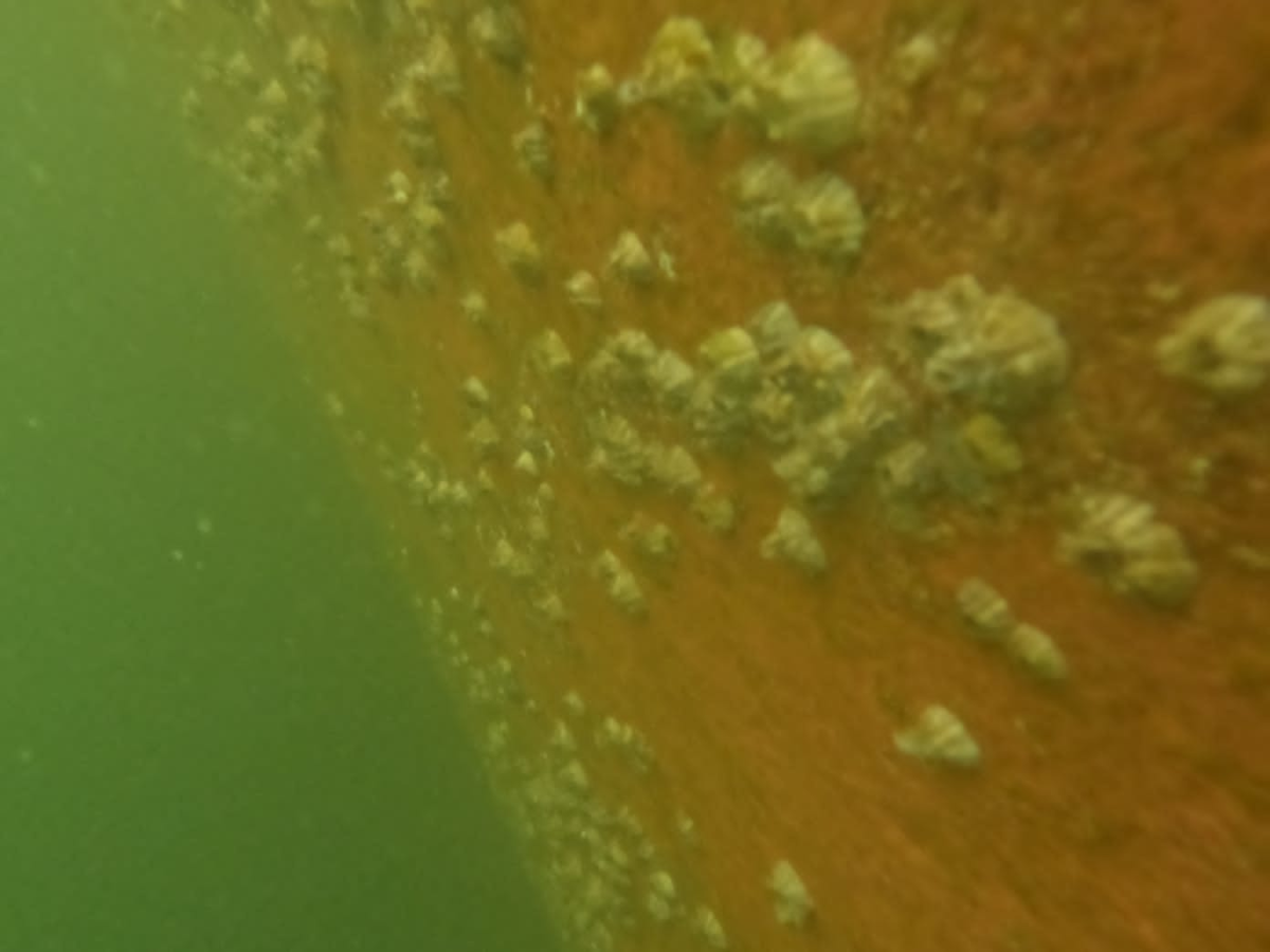 Repairs and marine maintenance